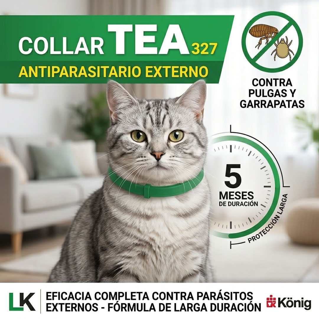 Colar Tea TuZonaMarket